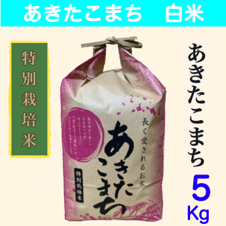 令和6年産　あきたこまち　白米・無洗米　5キロ