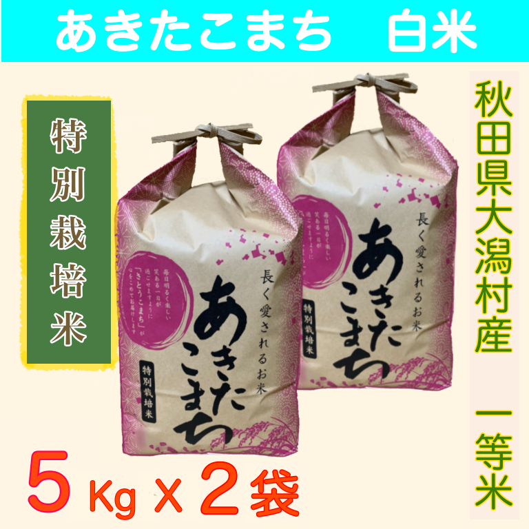 令和6年産　あきたこまち　白米・無洗米　10キロ（5キロ×２）