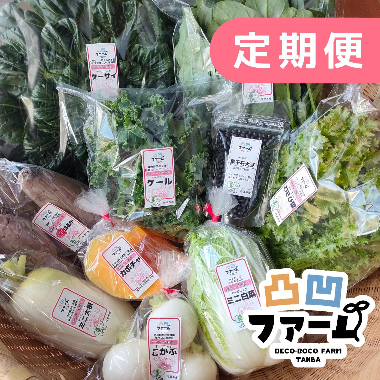 毎月便【送料別】季節の有機野菜セット（５～１０品目）