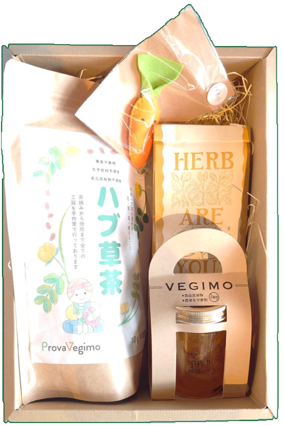VEGIMO手作りギフトセット ティータイムver.