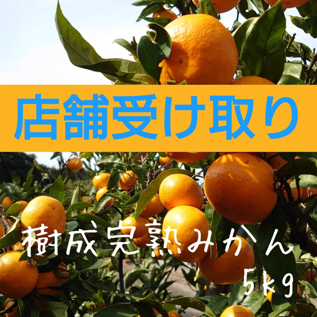 店舗受け取り　樹成完熟みかん5kg