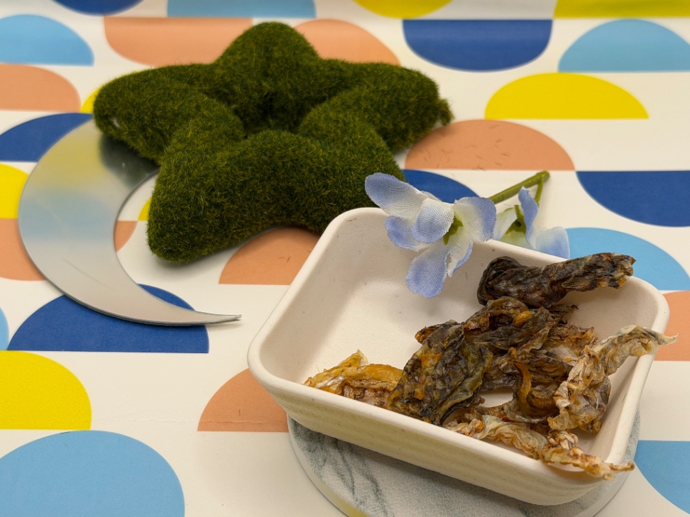 国産真鯛 鯛皮ジャーキー