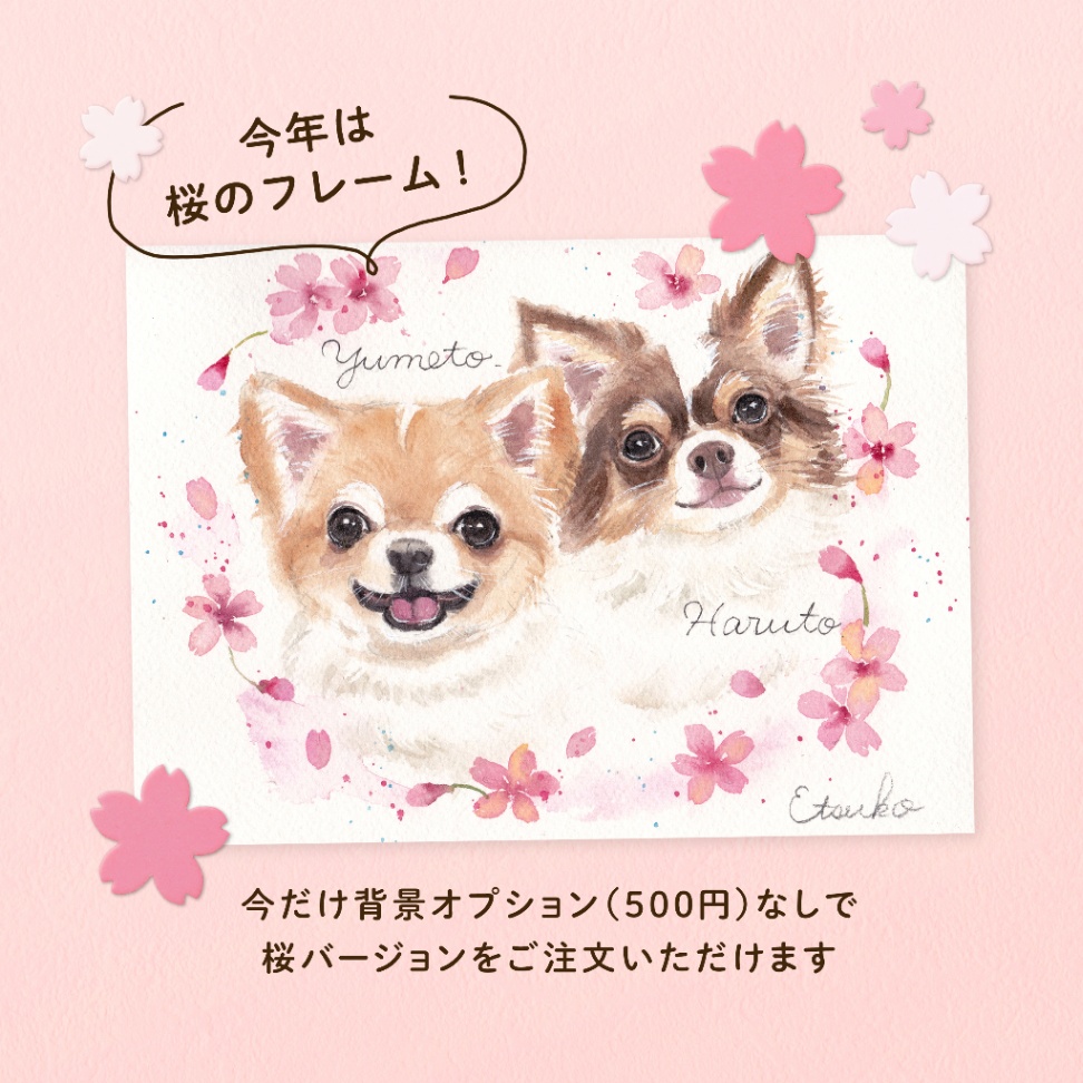 商品画像2