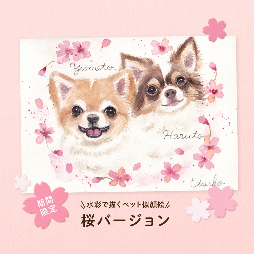 水彩で描くペット似顔絵【期間限定！桜バージョン】