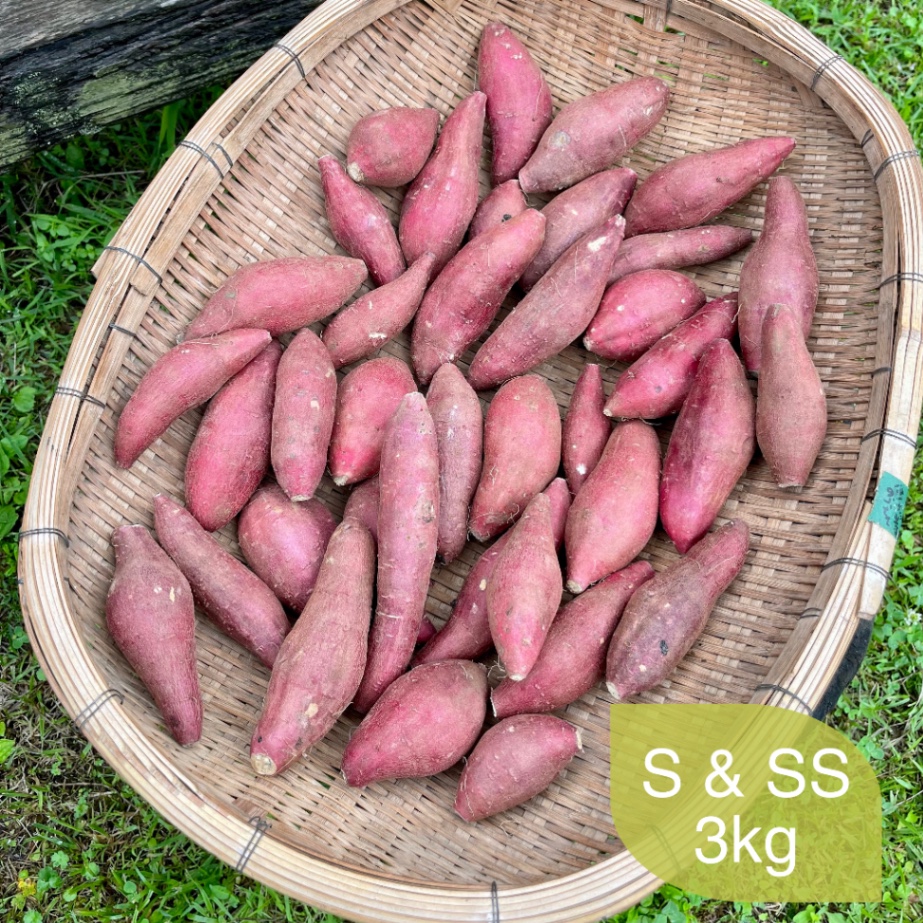 【熟成紅はるか】令和６年産  優良品3kg（S&SSサイズ）