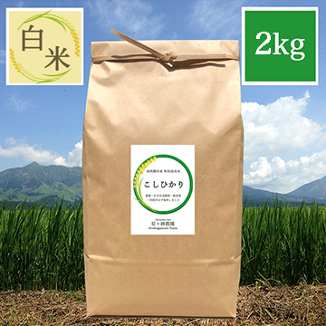 新米【令和7年産】星ヶ峰農園のコシヒカリ《白米2kg》