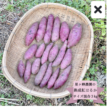 【熟成紅はるか】令和６年産  優良品3kg（サイズ選べます）