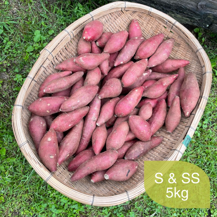 【熟成紅はるか】令和６年産  優良品5kg（S&SSサイズ）