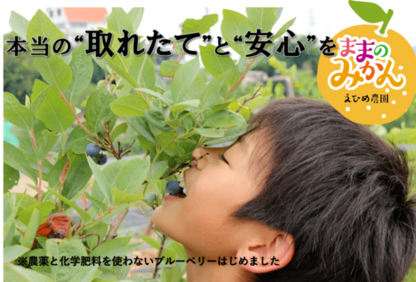 商品画像5