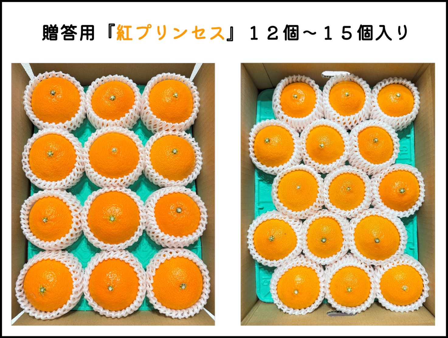最高級みかん・愛果４８号(紅プリンセス）贈答用 10～15玉入り