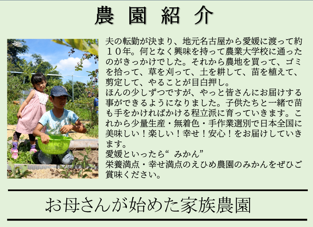 商品画像6