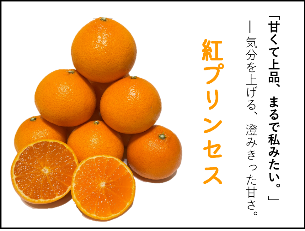 (訳アリ)【新登場＆数量限定】愛媛県産 新品種「愛媛果試第48号(基準クリアで紅プリンセス）」3kg　販売開始！