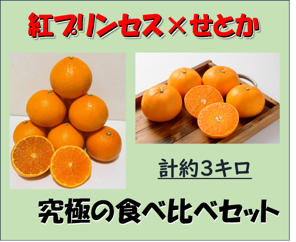 商品画像4