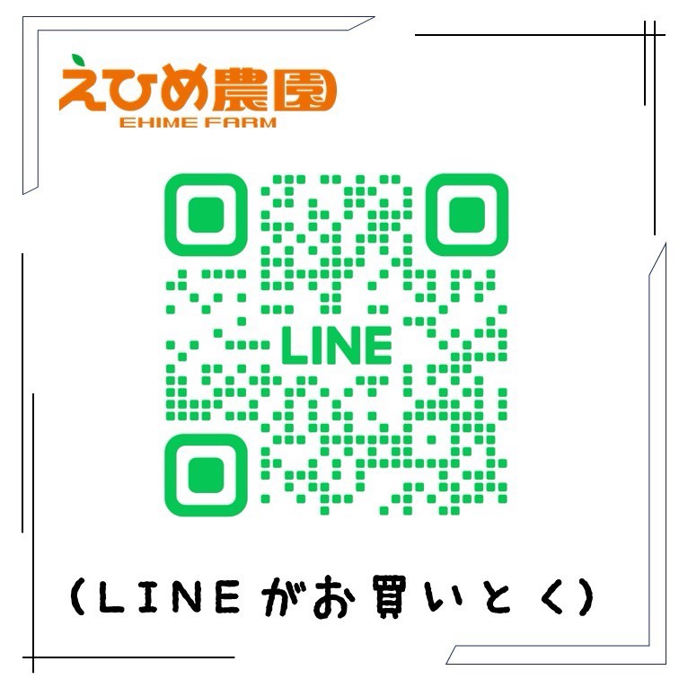 商品画像5