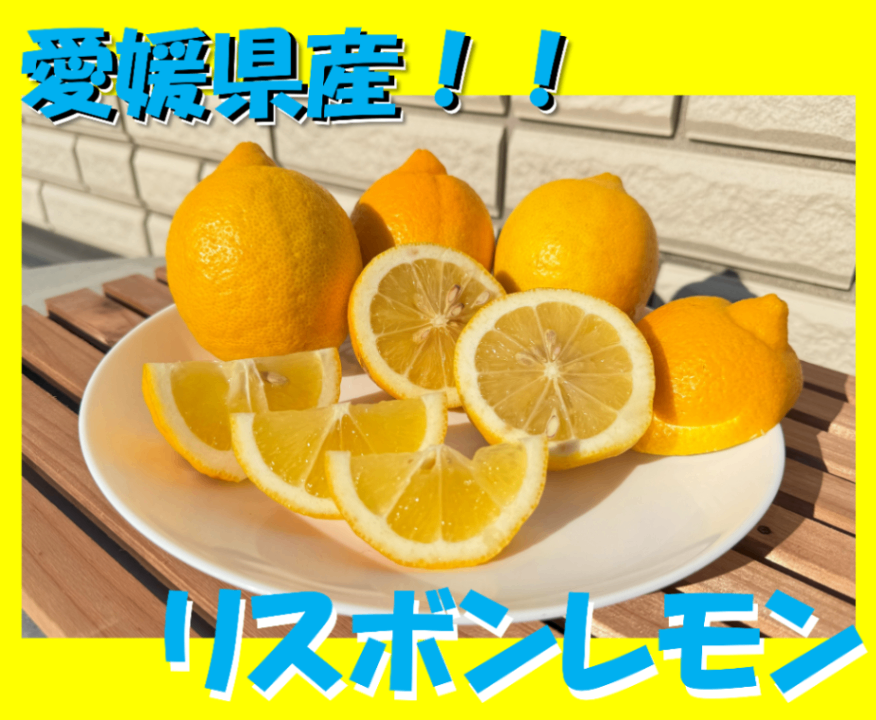 愛媛県産　リスボンレモン　防腐用不使用　３㌔