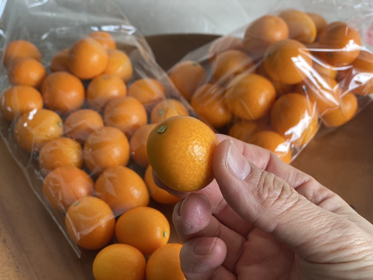 【おまとめ買い】海沿いの完熟きんかん　1000g/袋